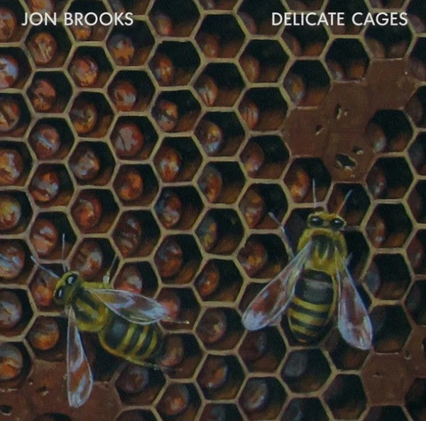 Jon Brooks (6) : Delicate Cages (CD, Album)