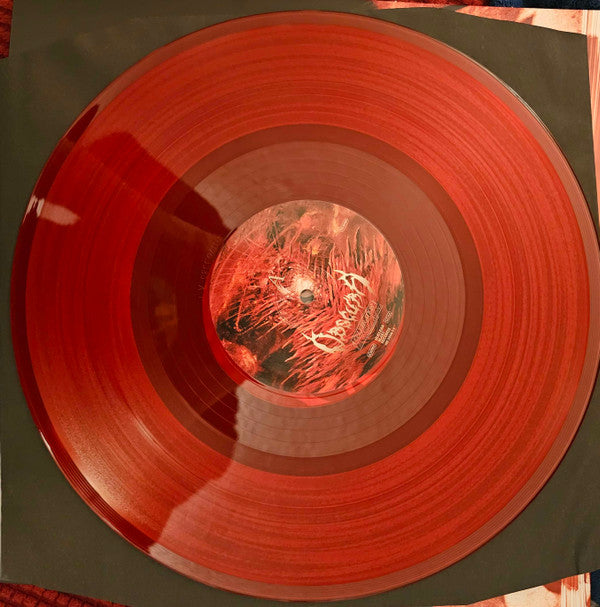 Obscura (3) : A Celebration I (Live In North America) (2xLP, Album, Red)