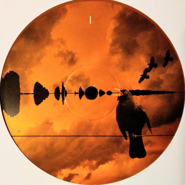 Kate Bush : Aerial (2xLP, Album, RE, RM, 180)