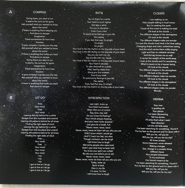 Liz Metta : Introspection (LP, Album, Ltd, Dar)