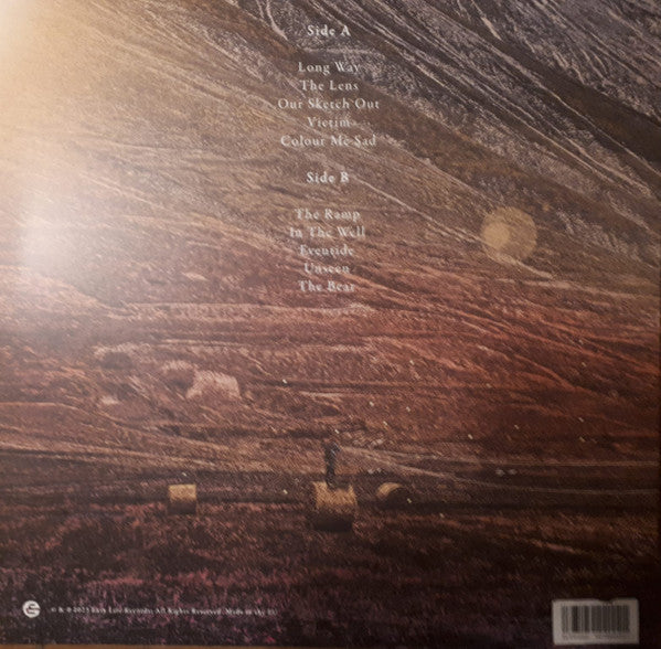 Lonely The Brave : What We Do To Feel (LP, Album, Ltd, Tra)