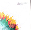 David Longdon : Wild River (LP, Yel + LP, Gre + Album, Ltd)