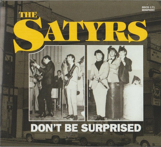 The Satyrs : Don't Be Surprised (CD, Album)