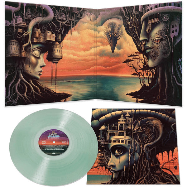 The Fusion Syndicate : BEAUTIFUL HORIZON (LP, COK)