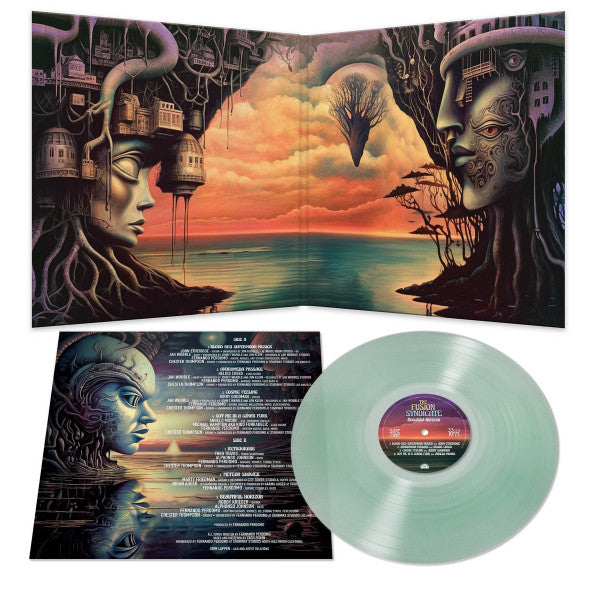 The Fusion Syndicate : BEAUTIFUL HORIZON (LP, COK)
