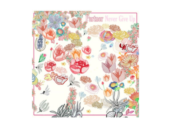 Partner (3) : Never Give Up (CD, Album)