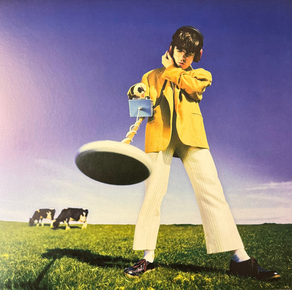 Declan McKenna : What Happened to the Beach? (LP, Album)