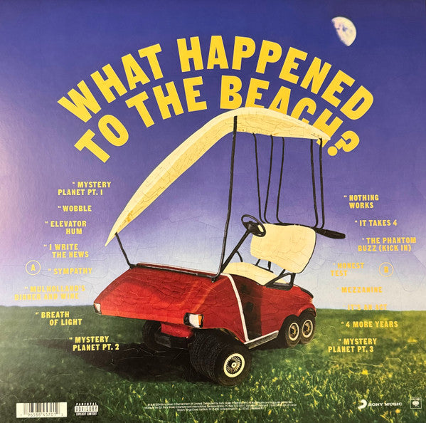 Declan McKenna : What Happened to the Beach? (LP, Album)