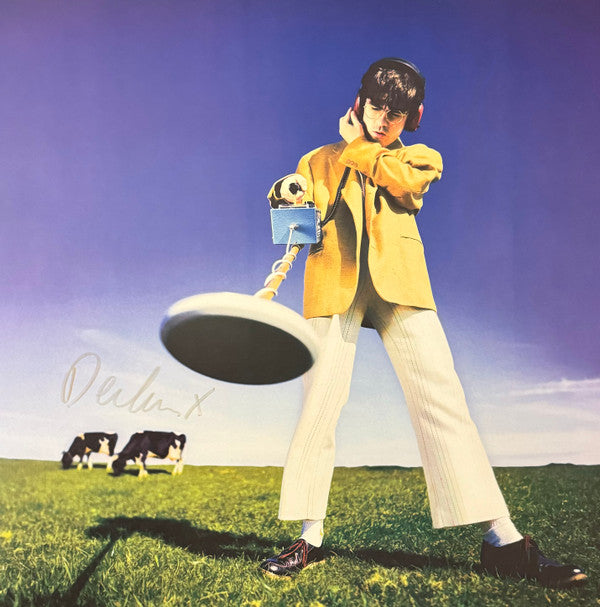 Declan McKenna : What Happened to the Beach? (LP, Album)
