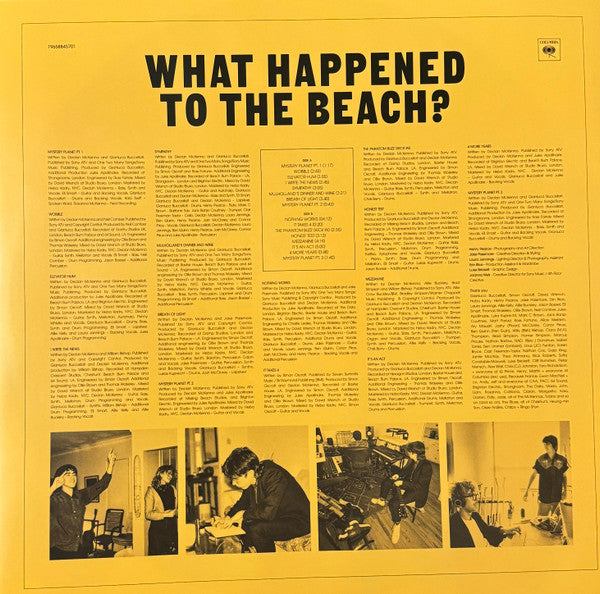 Declan McKenna : What Happened to the Beach? (LP, Album)
