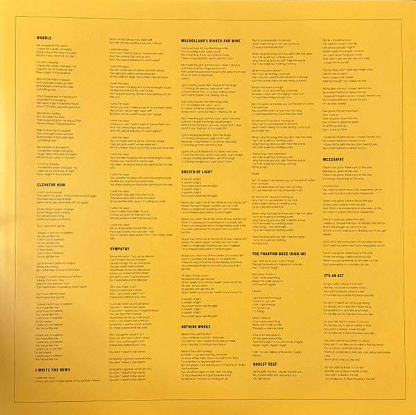 Declan McKenna : What Happened to the Beach? (LP, Album)