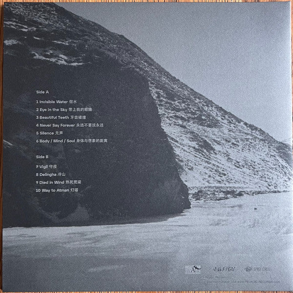 The Fuzz (17) : Folding Story / 折叠故事 (LP, Album)