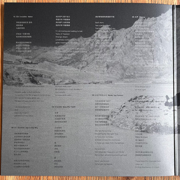 The Fuzz (17) : Folding Story / 折叠故事 (LP, Album)