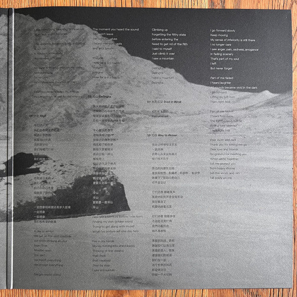The Fuzz (17) : Folding Story / 折叠故事 (LP, Album)