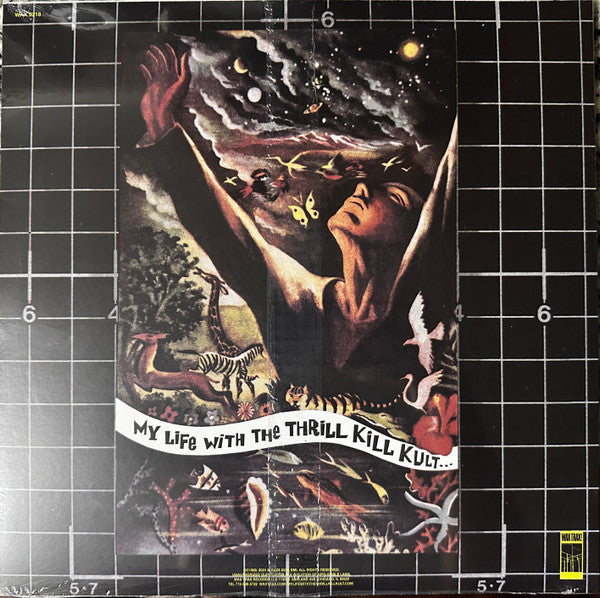 My Life With The Thrill Kill Kult : I See Good Spirits And I See Bad Spirits (LP, Album, RE, RM)