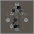 Pixie Ninja : Hypnagogia (LP, Album, Ltd, Tra)