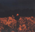 Benjamin Francis Leftwich : Some Things Break (CD, Album)