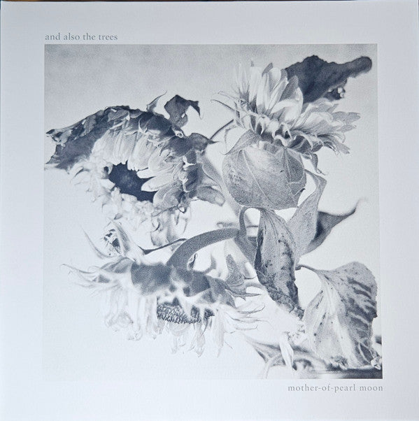 And Also The Trees : Mother-of-pearl Moon (LP, Album)