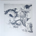 And Also The Trees : Mother-of-pearl Moon (LP, Album)