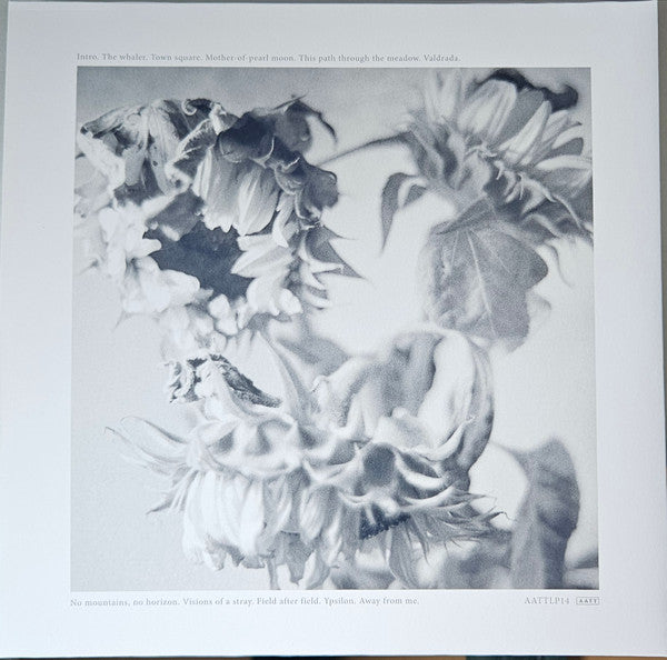 And Also The Trees : Mother-of-pearl Moon (LP, Album)