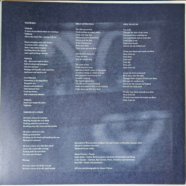 And Also The Trees : Mother-of-pearl Moon (LP, Album)