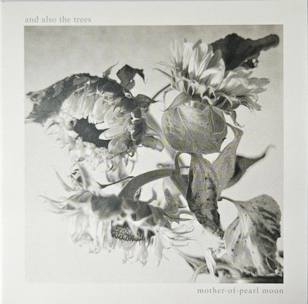 And Also The Trees : Mother-Of-Pearl Moon (CD, Album)