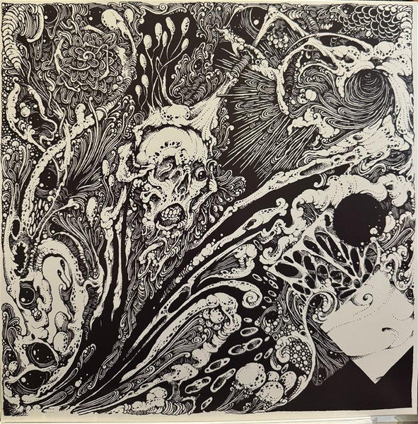 Seraphic Entombment : Sickness Particles Gleam (2xLP, Album)
