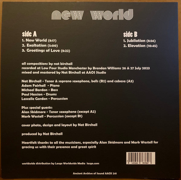 Nat Birchall Unity Ensemble : New World (LP, Album)