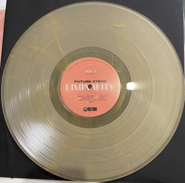 Future Static (2) : Liminality (LP, Gol)