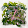 MIZU (11) : Forest Scenes (LP, Ltd, Col)