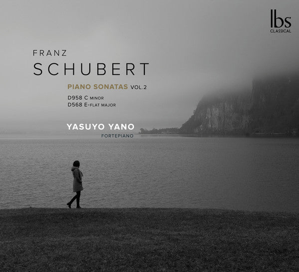 Franz Schubert - Yasuyo Yano : Piano Sonatas Vol. 2 (CD, Album)