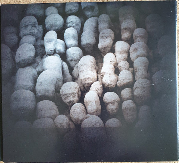 Data Void (2) : Strategies Of Dissent (CD, Album)