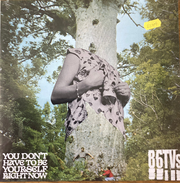 86TVs : You Don't Have To Be Yourself Right Now (10", RSD, Ltd)