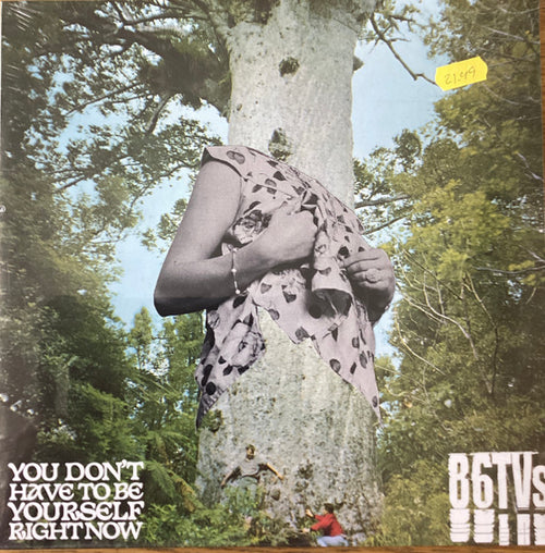 86TVs : You Don't Have To Be Yourself Right Now (10", RSD, Ltd)