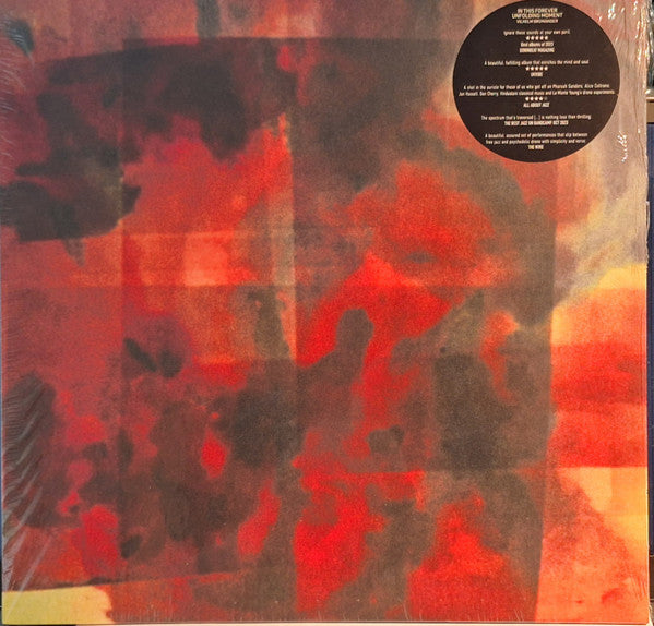 Vilhelm Bromander : In This Forever Unfolding Moment (LP, Album, Ltd, RE, Dar)
