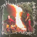 Babehoven : Water's Here In You (LP, Album, Blu)