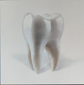 Porij : Teething (LP, Album)