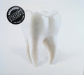 Porij : Teething (CD)