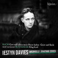 Johann Sebastian Bach, Iestyn Davies, Arcangelo, Jonathan Cohen (7) : Cantatas Nos 35; 169 (CD, Album)