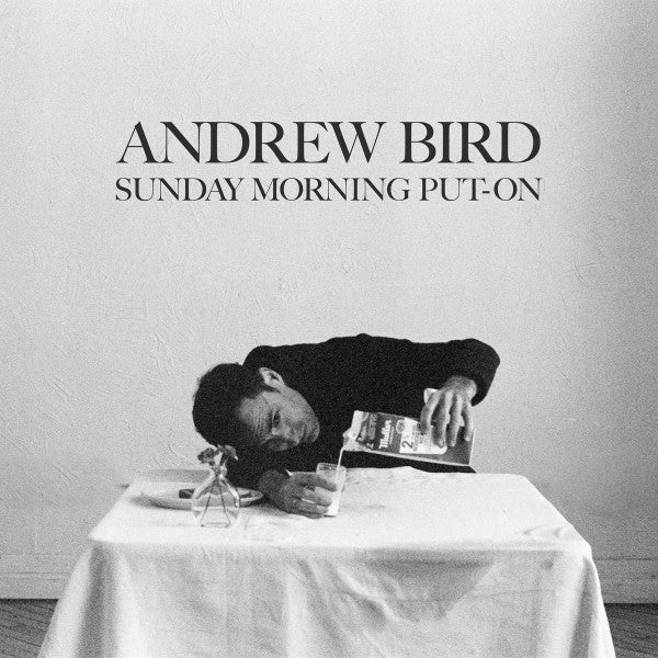 Andrew Bird Trio : Sunday Morning Put-On (CD, Album)