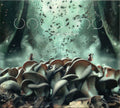 Uncanny (9) : Shroomsday (CD, Album)