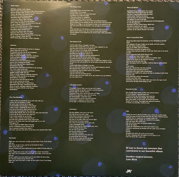 Michael Head & The Red Elastic Band : Loophole (LP)