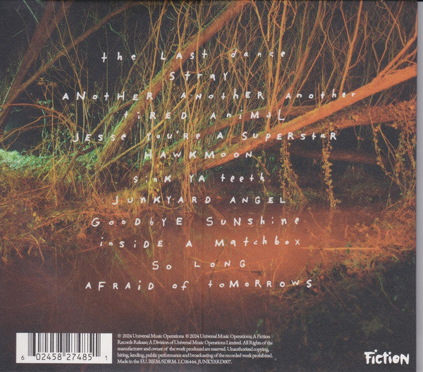 The Mysterines : Afraid Of Tomorrows (CD, Album)