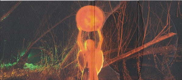 The Mysterines : Afraid Of Tomorrows (CD, Album)