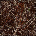 Outhouse (5) With Hilmar Jensson : Straw, Sticks + Bricks (CD, Album)