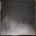 Danny Paul Grody Duo : Arc of Night (LP, Album)