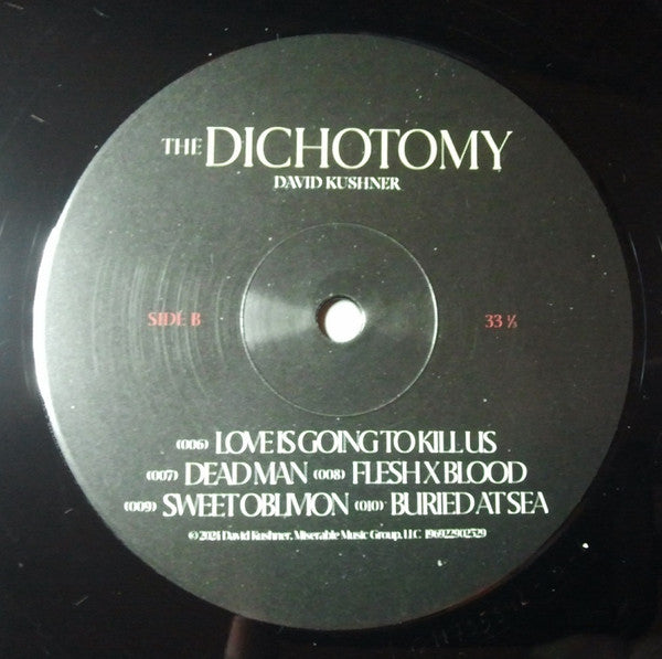 David Kushner (2) : The Dichotomy (2xLP, Album)