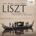 Franz Liszt - Diederik Blankesteijn : Piano Works, Arranged For Organ (CD, Album)
