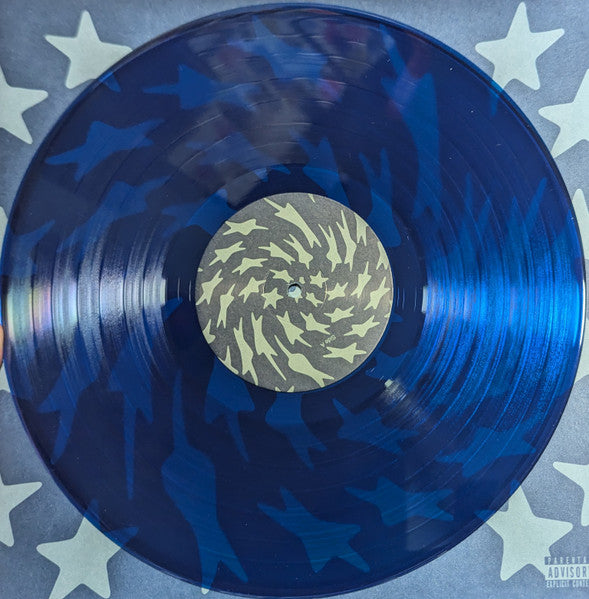 Toro Y Moi : Hole Erth (LP, Album, Cle)