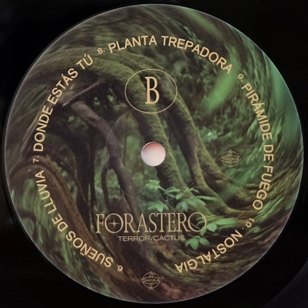 Terror/Cactus : Forastero (LP, Ltd)